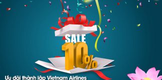 Vietnam Airlines giảm 10% giá vé máy bay kỷ niệm 24 năm thành lập
