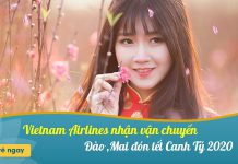 Vietnam Airlines vận chuyển Đào Mai đón Tết 2020 từ ngày 09/01/2020