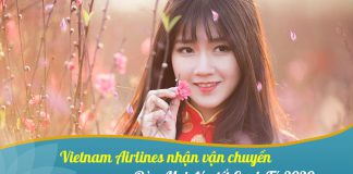 Vietnam Airlines vận chuyển Đào Mai đón Tết 2020 từ ngày 09/01/2020