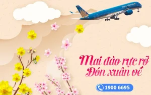 Vietnam Airlines vận chuyển đào, mai dịp Tết 2023