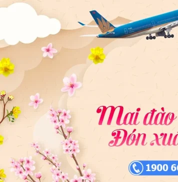 Vietnam Airlines vận chuyển đào, mai dịp Tết 2023