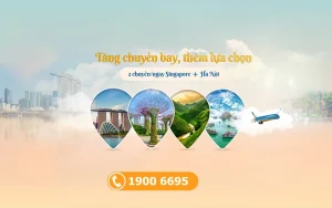Vietnam Airlines tăng tần suất chuyến bay đi Singapore