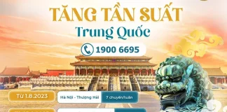 VIETNAM AIRLINES TĂNG TẦN SUẤT BAY Trung Quố