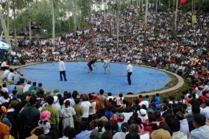 Hội vật diễn ra tại Lễ hội vua Mai ở Nam Đàn, Nghệ An