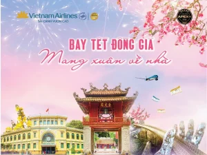 Vietnam Airlines đồng giá vé Tết chỉ từ 666.000 VNĐ